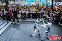 <b>球场边摊吃小龙虾、采办潮玩</b>